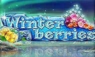 uk online slots such as Winterberries