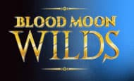 uk online slots such as Blood Moon Wilds