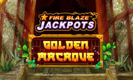 UK online slots such as Golden Macaque