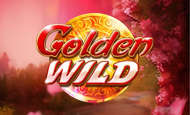 uk online slots such as Golden Wild