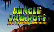 UK Online Slots Such As Jungle Jackpots