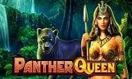 UK Online Slots Such As Panther Queen