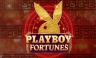 uk online slots such as Playboy Fortunes