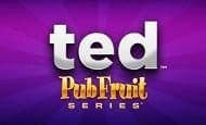 uk online slots such as Ted Pub Fruits Series