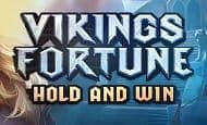 uk online slots such as Vikings Fortune: Hold and Win