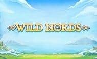 UK Online Slots Such As Wild Nords