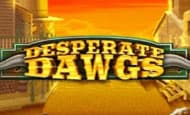 UK online slots such as Desperate Dawgs