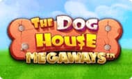 uk online slots such as The Dog House Megaways