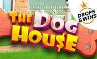 UK Online Slots Such As The Dog House