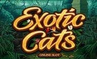 UK Online Slots Such As Exotic Cats