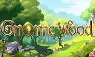 UK Online Slots Such As Gnome Wood