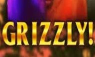 uk online slots such as Grizzly Gold