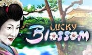 uk online slots such as Lucky Blossom