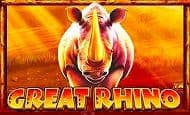 UK Online Slots Such As Great Rhino