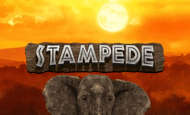 uk online slots such as Stampede