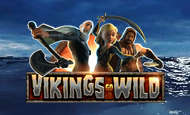 uk online slots such as Vikings Go Wild