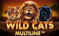 uk online slots such as Wild Cats Multiline