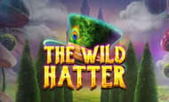 uk online slots such as Wild Hatter