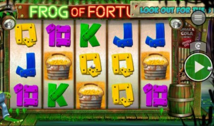 Frog of Fortune slot