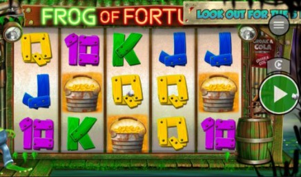 Frog of Fortune slot