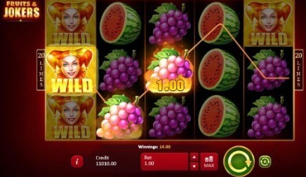 Fruits & Jokers slot