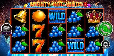 Mighty Hot Wilds slot