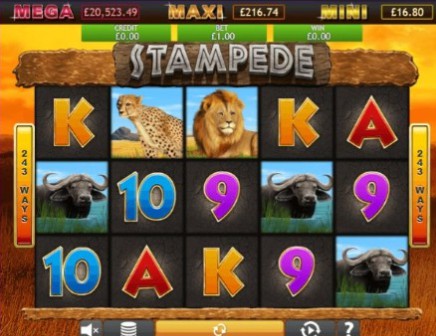 Stampede Jackpot slot