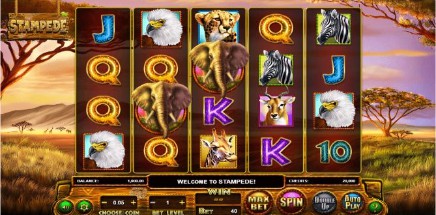 Stampede slot