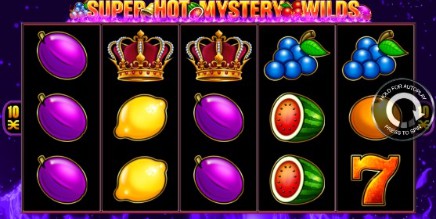 Super Hot Mystery Wilds slot