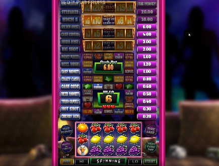 Ted Pub Fruits Series slot