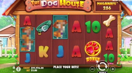 The Dog House Megaways slot