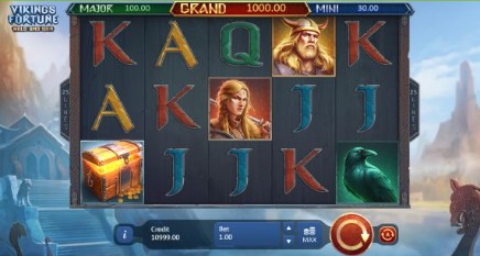 Vikings Fortune: Hold and Win slot