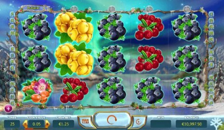 Winter Berries slot